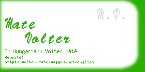 mate volter business card